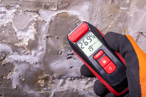 Best Mold Testing  in Hastings, NE