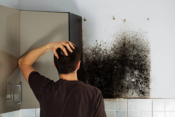 Best Crawl Space Mold Removal  in Hastings, NE